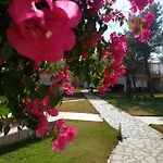 Marzi Beach And Bungalows Ξενοδοχείο Κοκκώνι