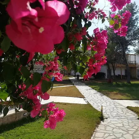 Marzi Beach And Bungalows Szálloda Kokóni
