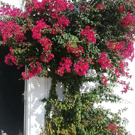 Hotel Marzi Beach And Bungalows 3*