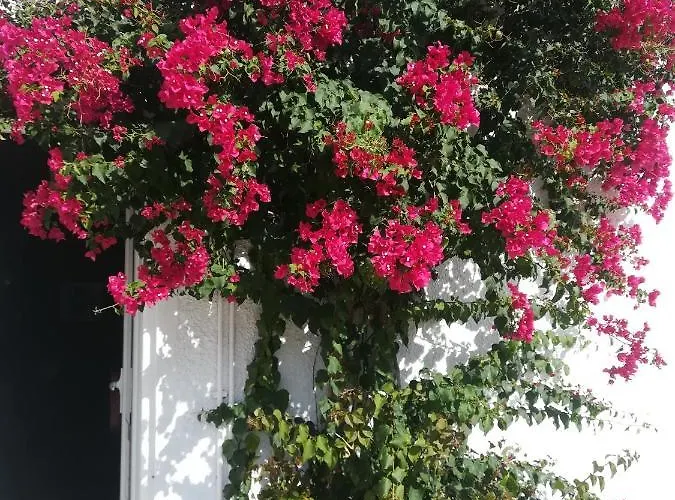 Ξενοδοχείο Marzi Beach And Bungalows 3*